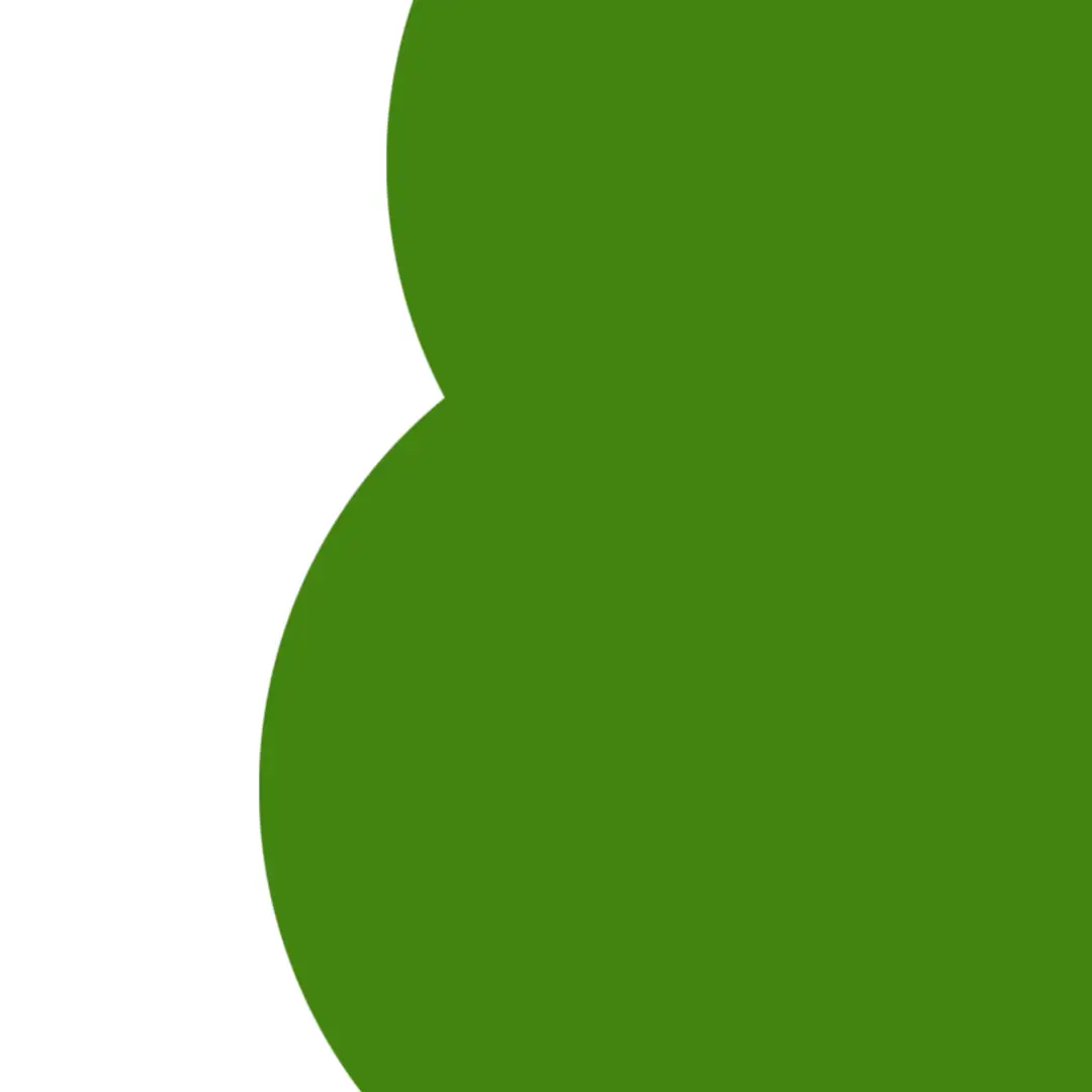 Article 2 – Conseil